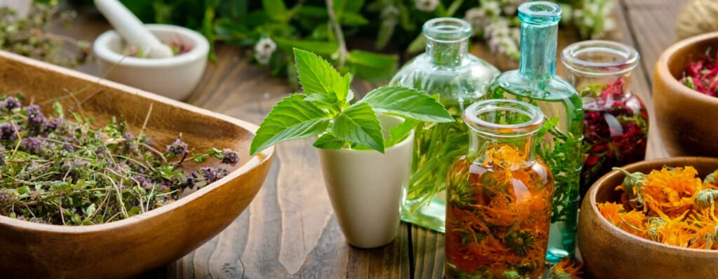 medicinal plants of the peruvian amazon